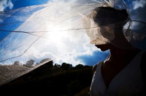 BOSTON_WEDDING_PHOTOGRAPHERS_IN_MA_0053.jpg