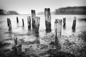 IMG_1332b-wvinv2.jpg