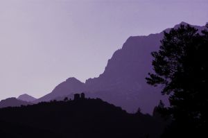 IMG_2940.jpg