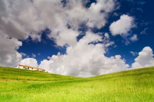 IMG_5940.jpg