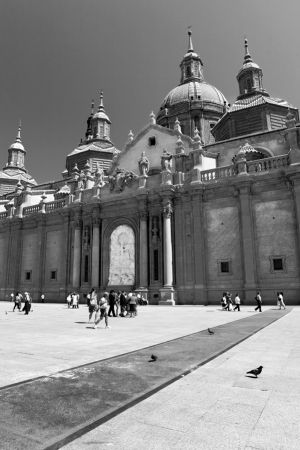 IMG_7084.jpg