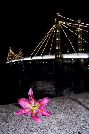 IMG_7683_1.jpg
