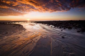 IMG_8143_1.jpg