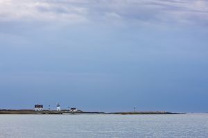 IMG_8593.jpg