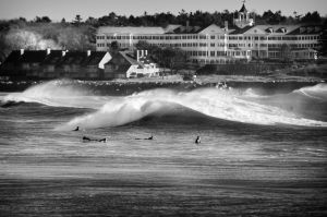 IMG_8751b-w.jpg