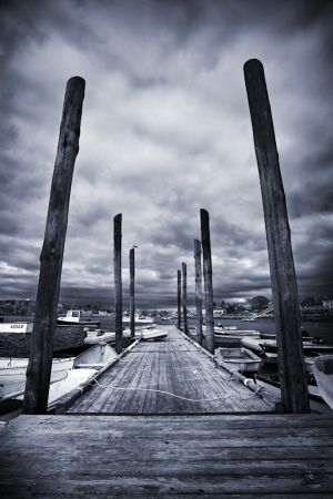 IMG_8912TINT.jpg