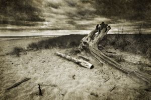 IMG_8989_1texture.jpg