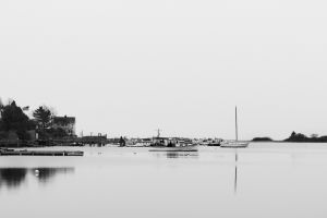 IMG_9096.jpg